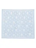 Alexander McQueen Skull-print scarf - Blue