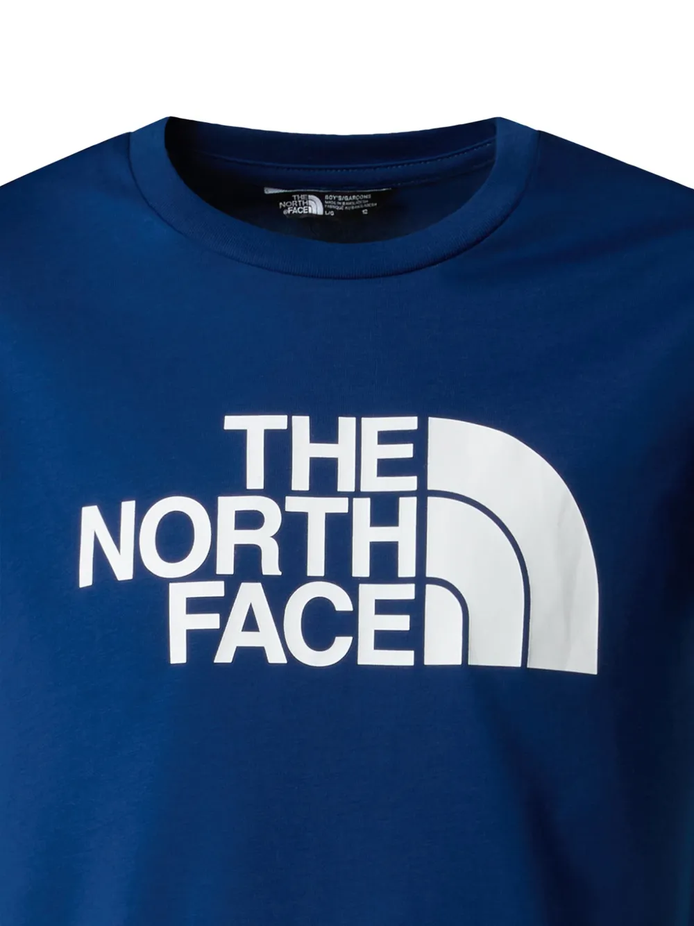 The North Face Kids T-shirt met logoprint Blauw