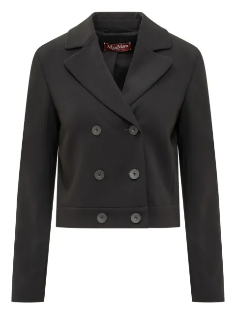 Max Mara Acciaio blazer