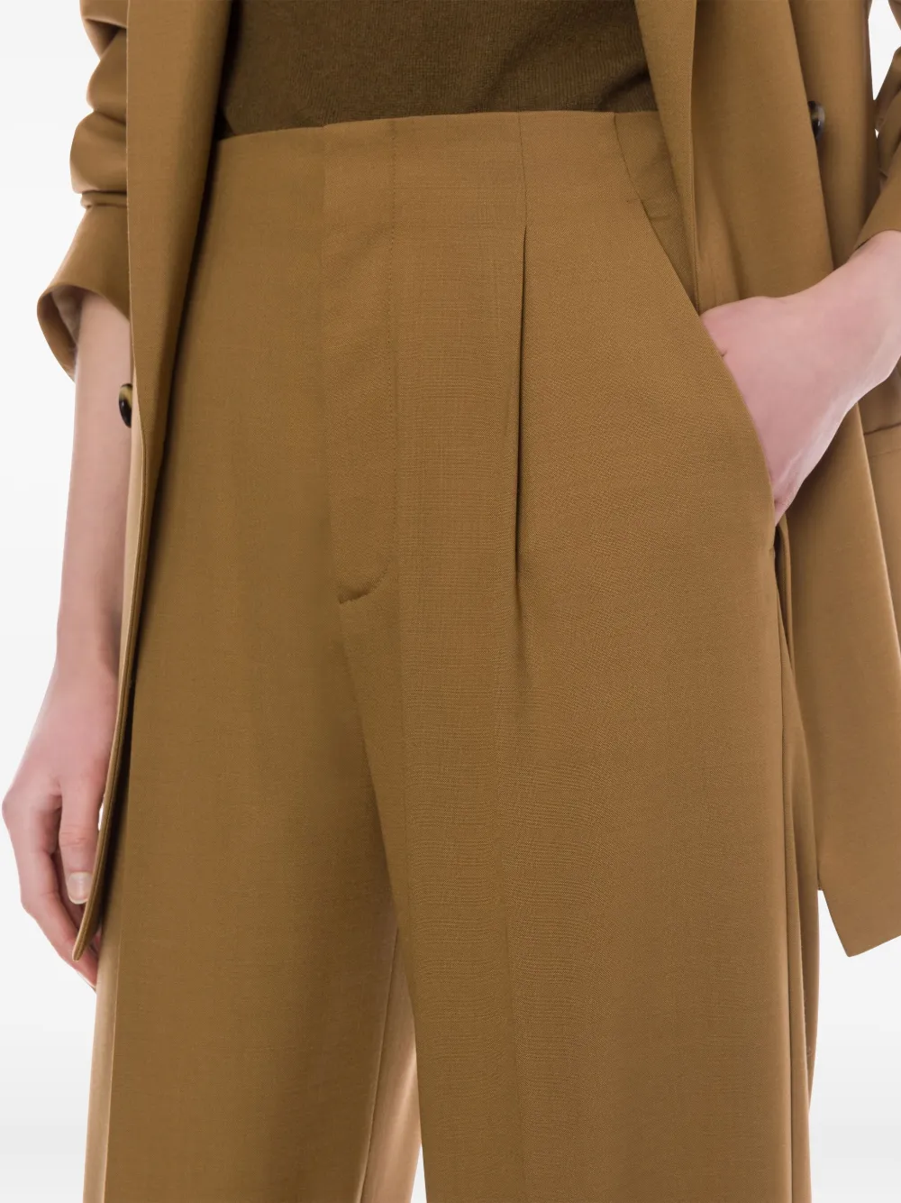 Alberta Ferretti Pleated High-waisted Trousers In Brown