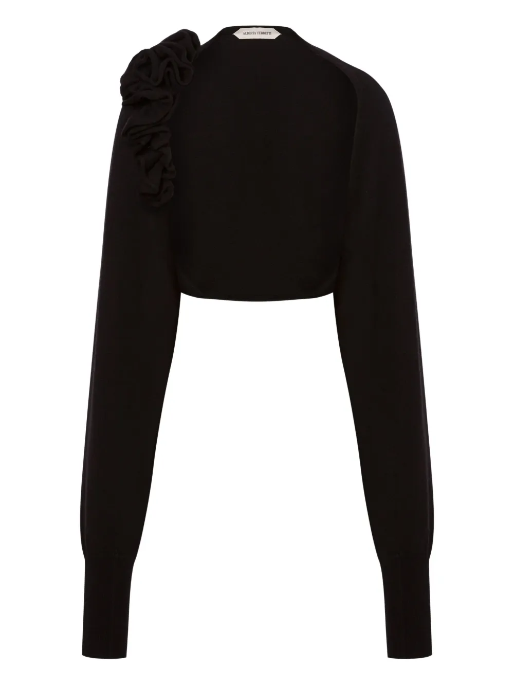 Alberta Ferretti Trui met applicatie Zwart
