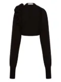Alberta Ferretti appliqué-detail sweater - Black
