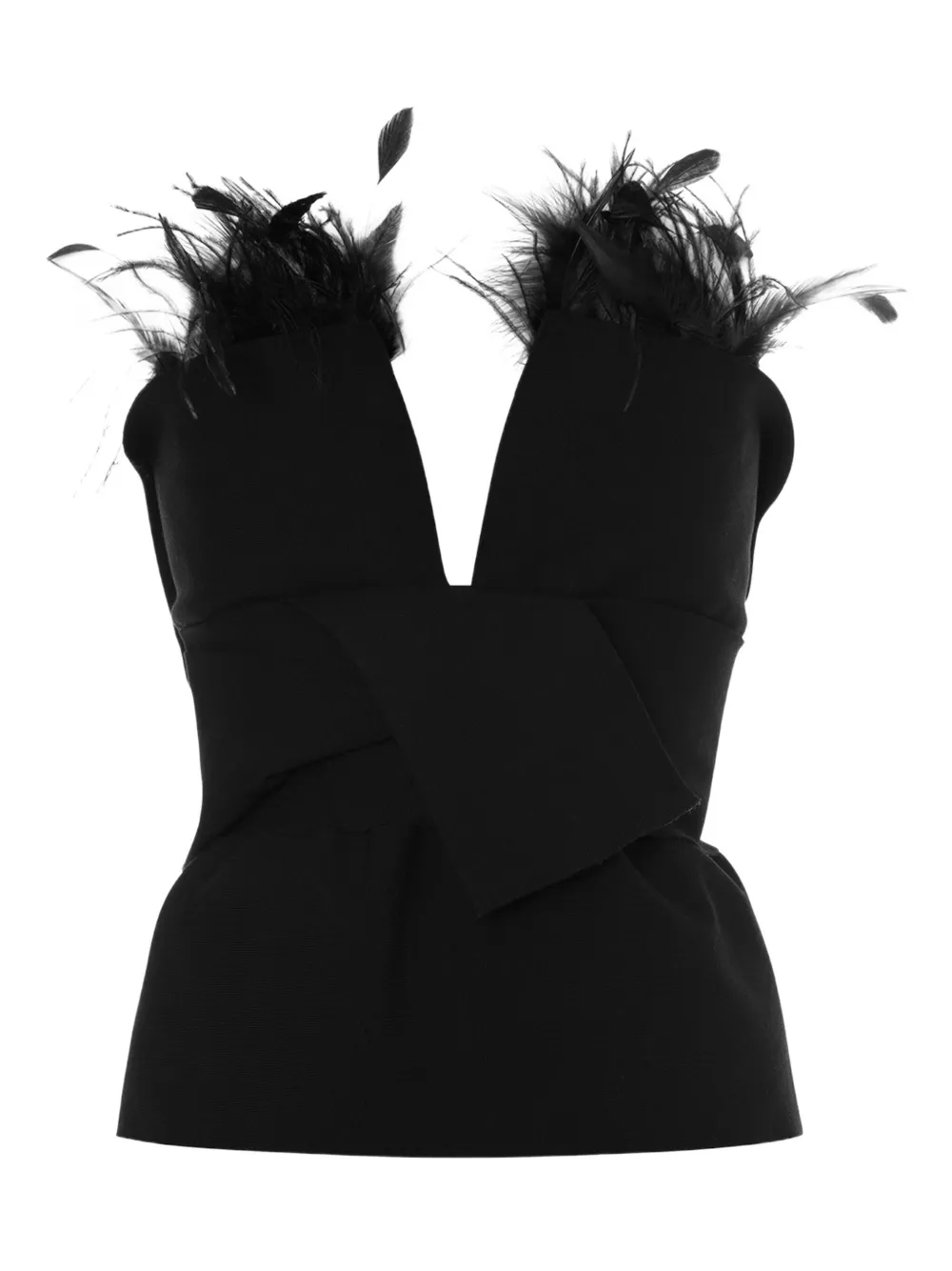 Alberta Ferretti feather-trimmed top | Black | Image 1