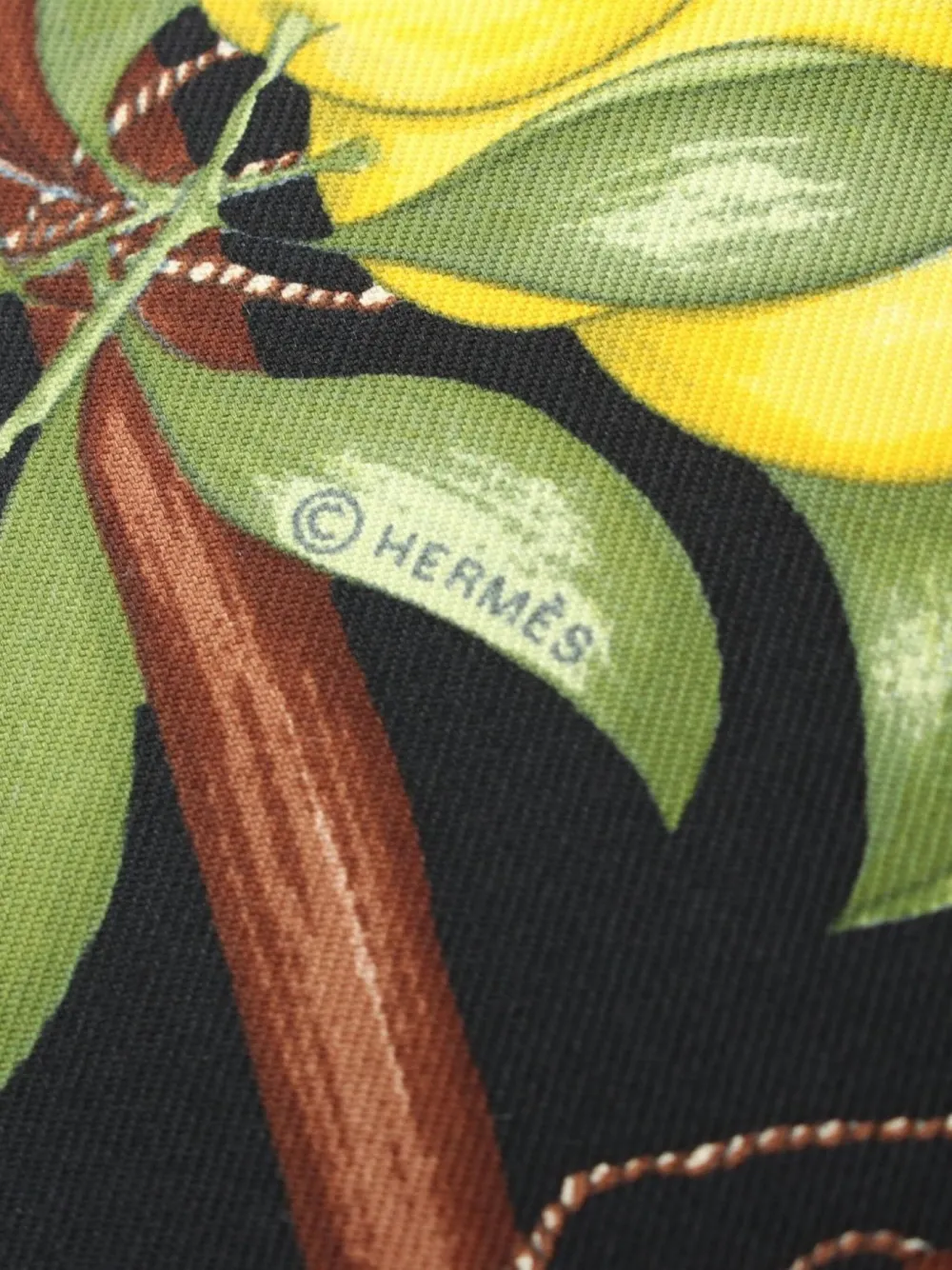 Hermès Pre-Owned 2010 fuit-print scarf | Image 2