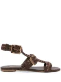 Casadei braided buckle flat sandals - Brown