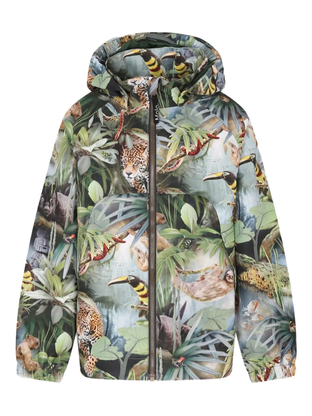Molo Jack met capuchon Groen
