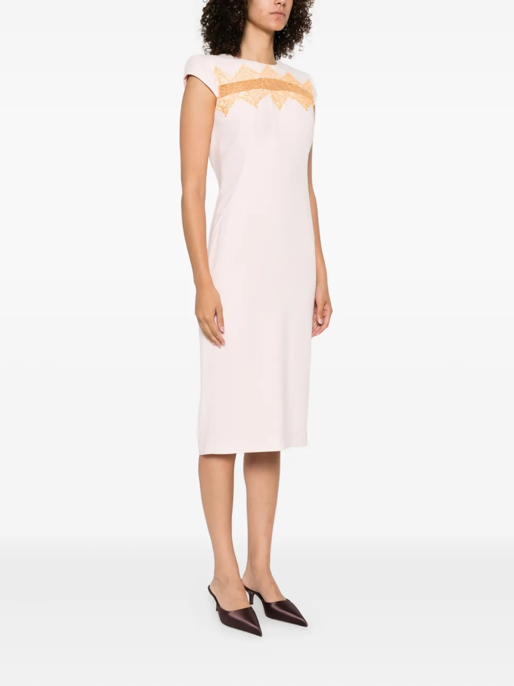 Alexander McQueen Midi-jurk met kanten vlak Roze