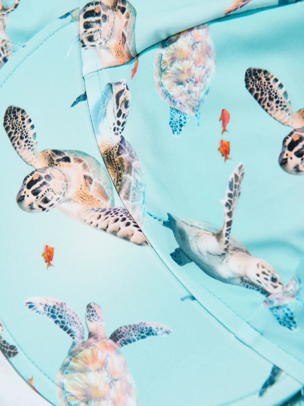 Molo Shirt met schildpadprint Blauw