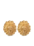 Jennifer Behr Limpet earrings - Gold