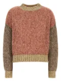 Weekend Max Mara Dionigi knitted jumper - Brown