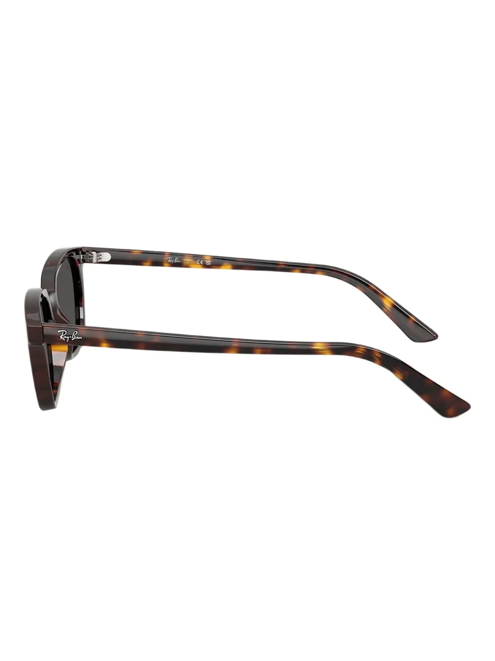 Ray-Ban Zaya sunglasses Bruin