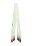 THE ANDAMANE fringed scarf - Green
