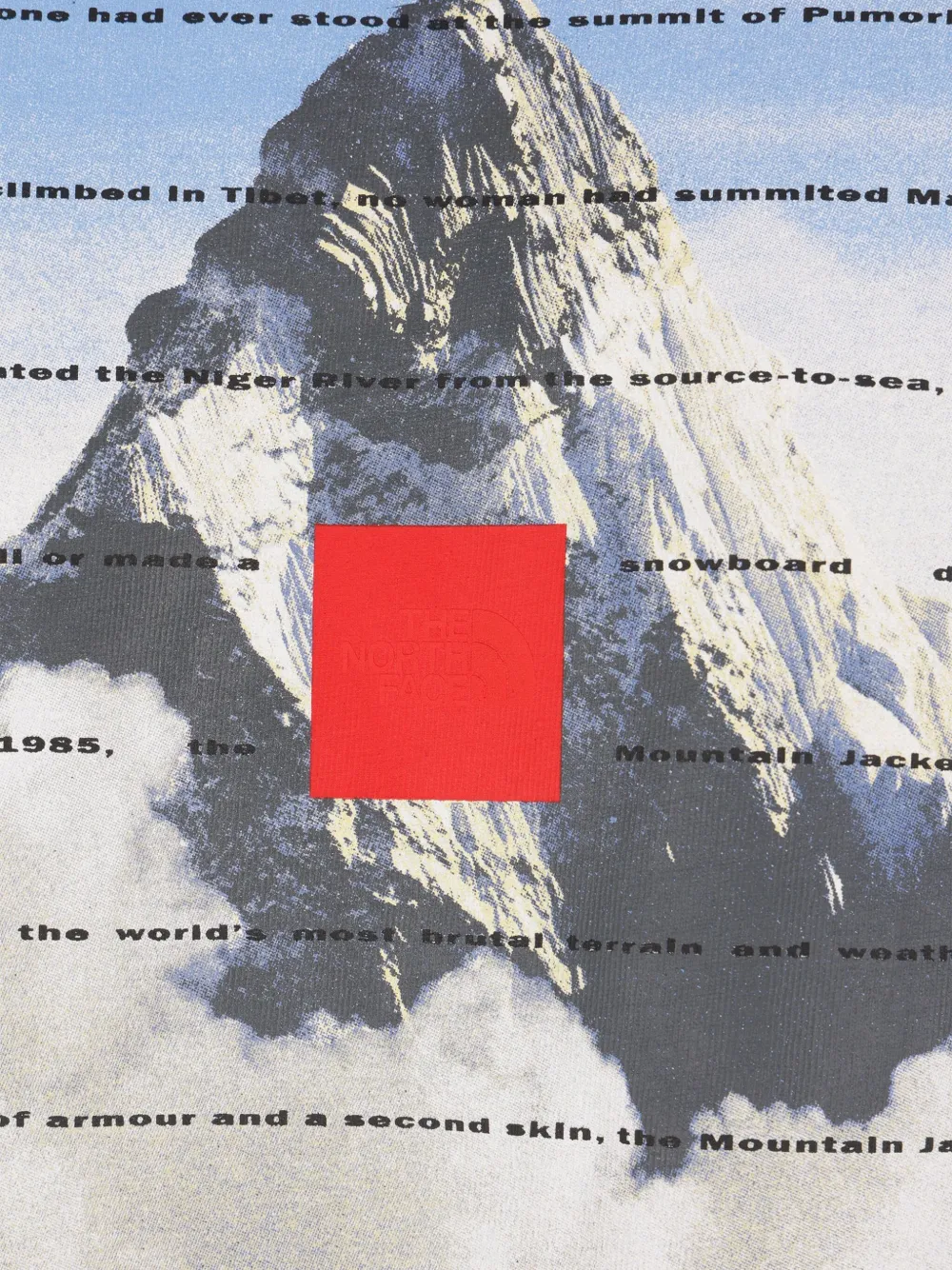 Shop The North Face 40th Anniversary T-shirt