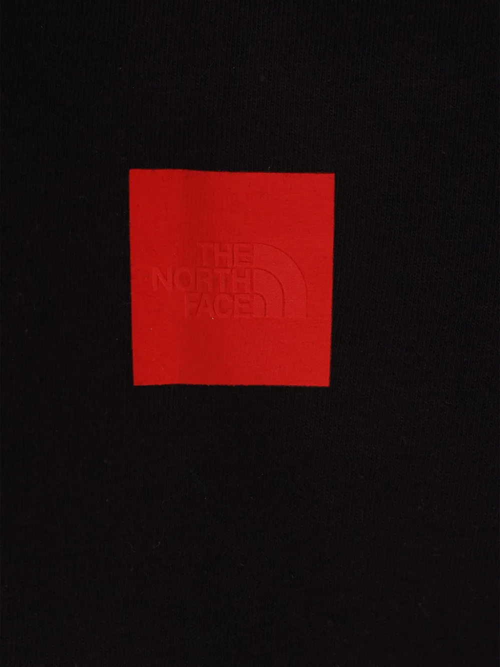 Shop The North Face 40th Anniversary T-shirt