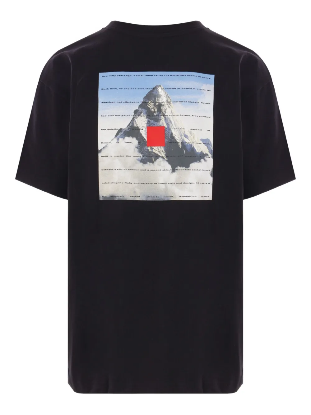 The North Face playera 40th Anniversary | Playeras | Image 2