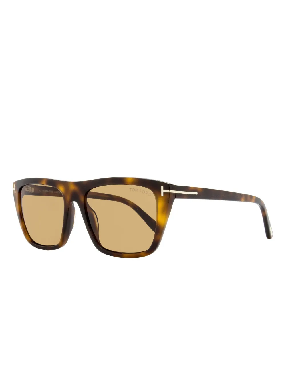 TOM FORD Eyewear 1175 Aslan zonnebril Bruin