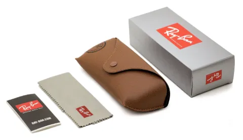 Ray-Ban Frank sunglasses