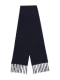 Destin Opus scarf - Blue