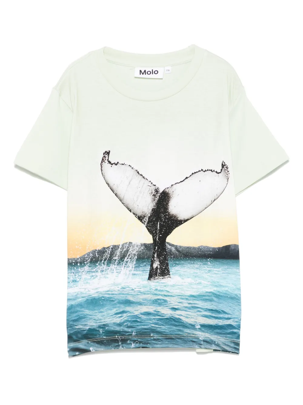 Molo playera Rame | verde | Image 1