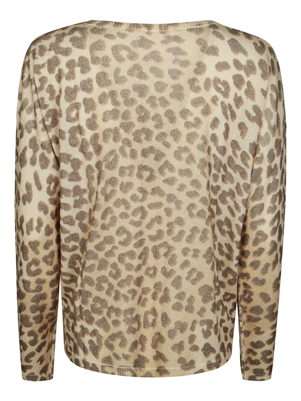 Absolut Cashmere Leopard-print Top In Brown