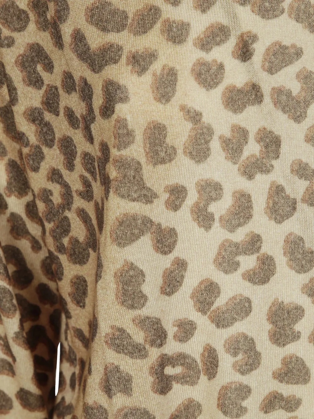 Absolut Cashmere Leopard-print Top In Brown