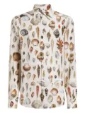 Dolce & Gabbana shell-print Martini shirt - Neutrals