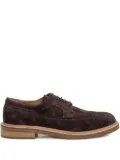 sturlini firenze suede derby shoes - Brown
