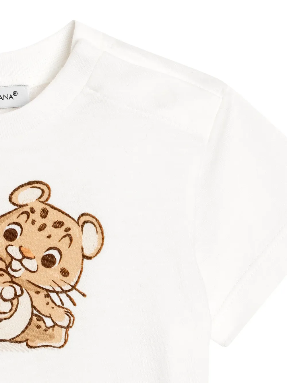 Dolce & Gabbana Kids T-shirt met luipaardprint Wit