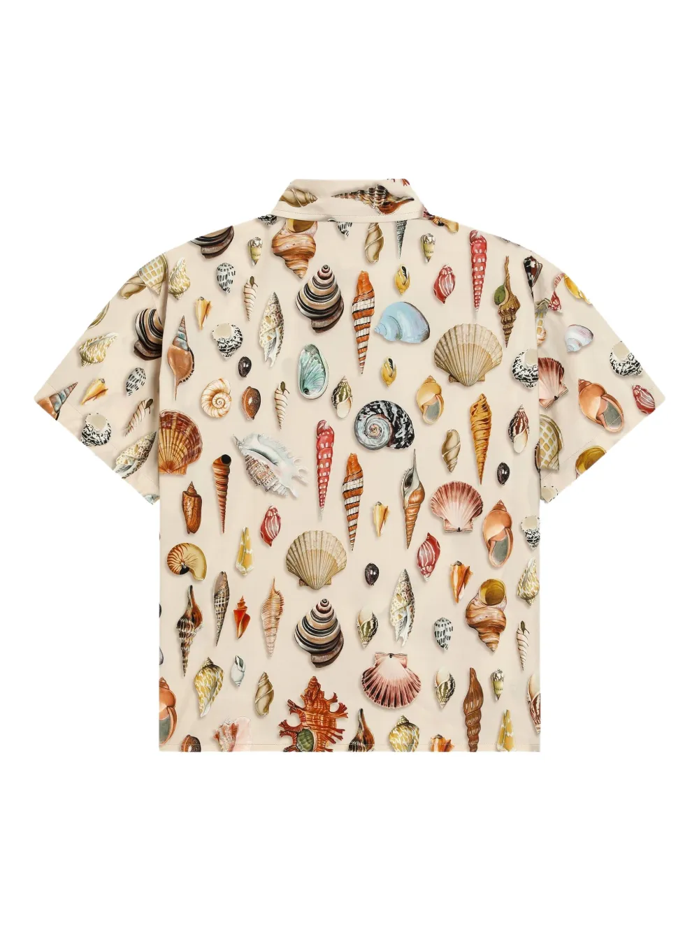Dolce & Gabbana Kids Shirt met schelpenprint Beige