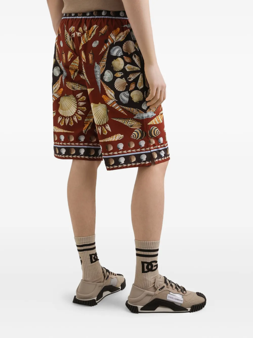 Dolce & Gabbana Katoenen-popeline shorts Bruin