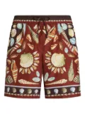 Dolce & Gabbana shell-print swim shorts - Brown