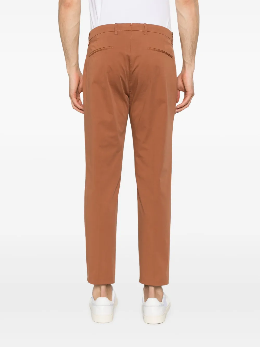 Briglia 1949 Tiberio chino Bruin