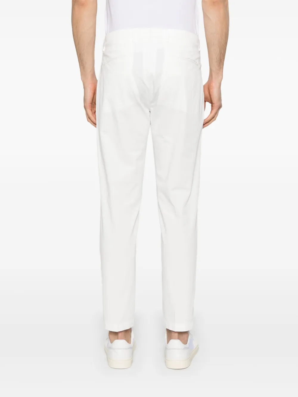Briglia 1949 Tiberio chino Wit