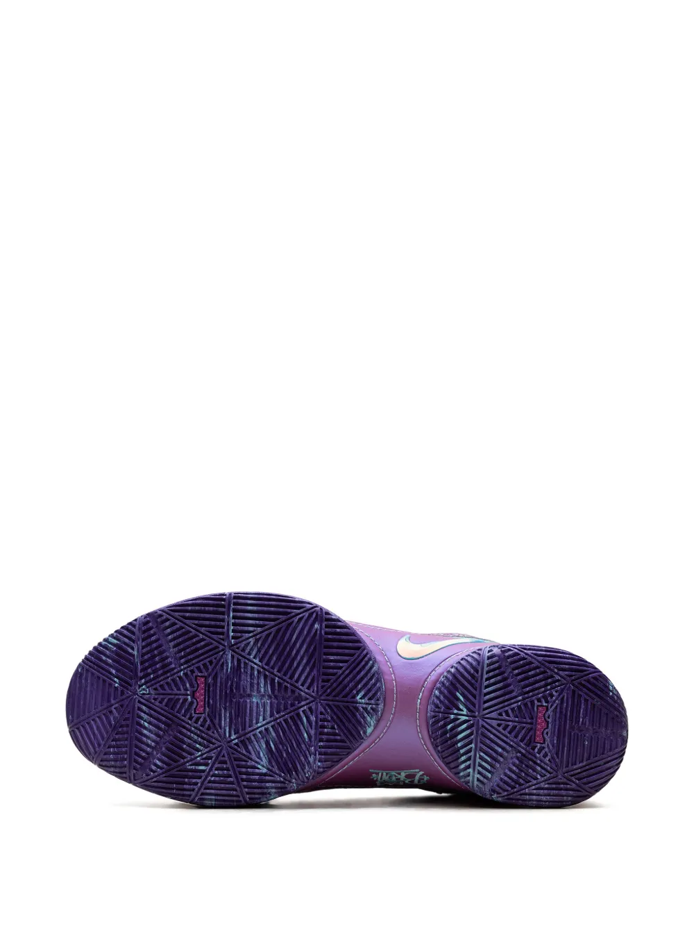 Nike LeBron 22 "Frozen Grapes" sneakers Paars