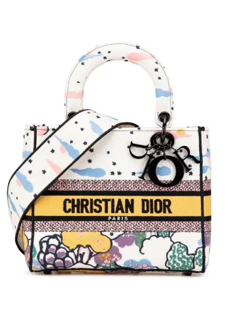 Christian Dior Pre-Owned 2022 Medium Canvas Embroidered Ciel De Reve Lady D Lite satchel
