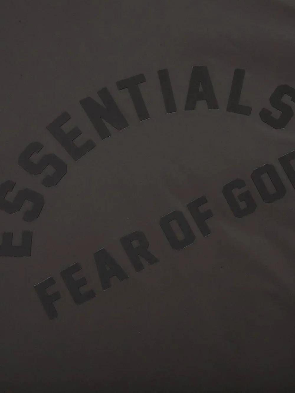 FEAR OF GOD ESSENTIALS Sweater met capuchon Grijs