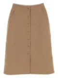 Louis Vuitton Pre-Owned 20's double-face midi skirt - Neutrals
