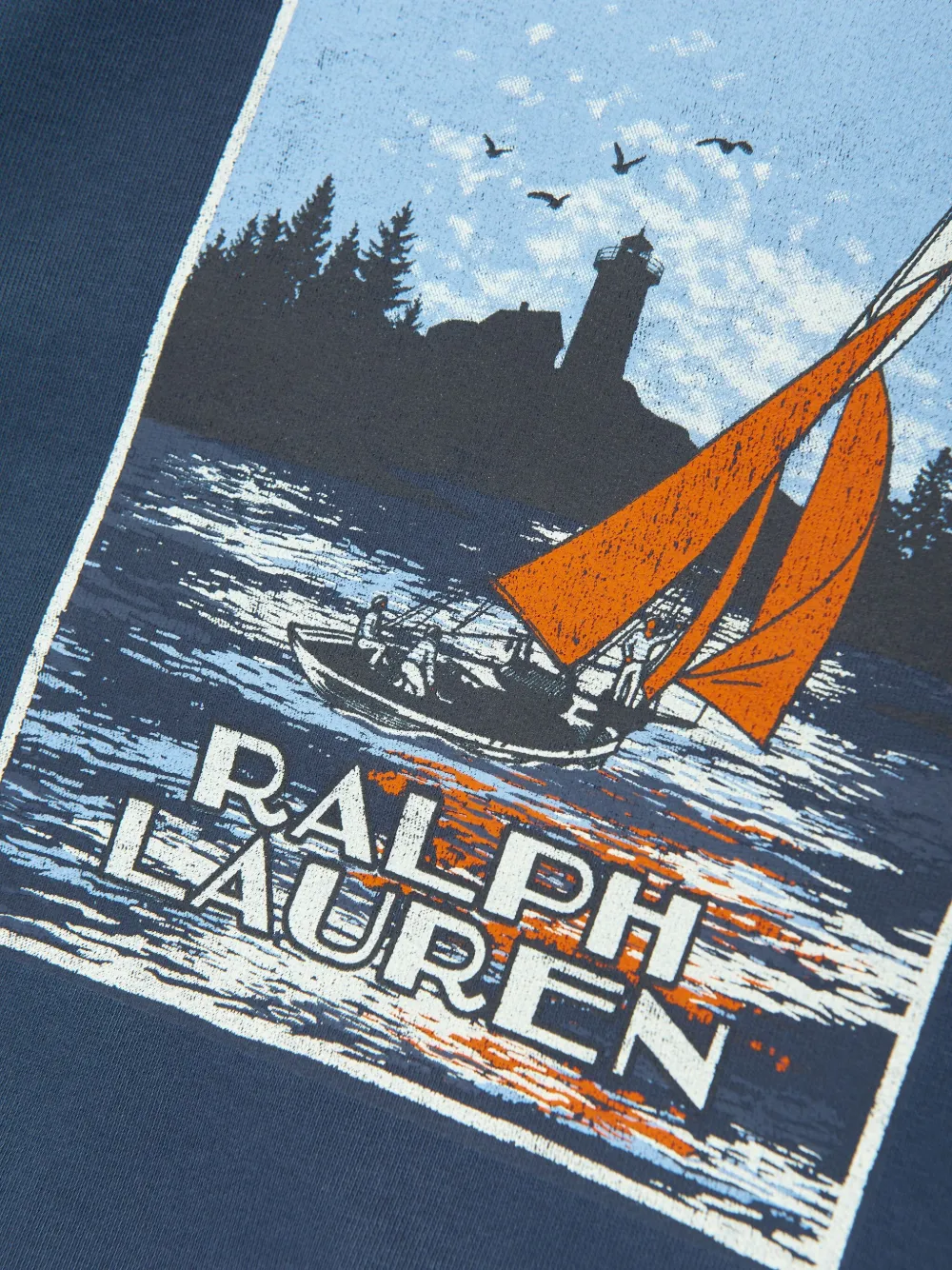 POLO RALPH LAUREN KIDS Sweater met grafische print Blauw