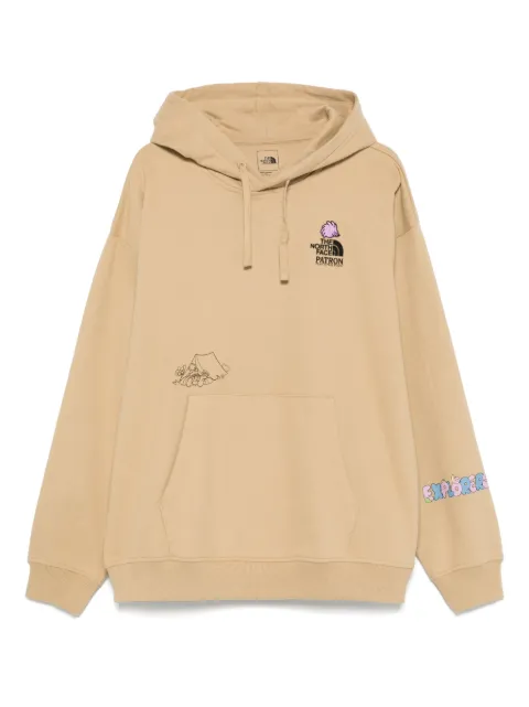 The North Face hoodie Mountain Cleanup