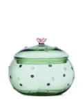 Ichendorf Milano Desert Plants polka-dot glass box - Green