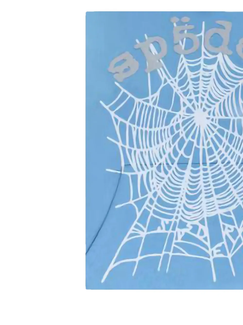 SP5DER OG WEB V2 hoodie Blauw