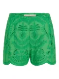 Marie Oliver Fable broderie-anglaise scalloped shorts - Green