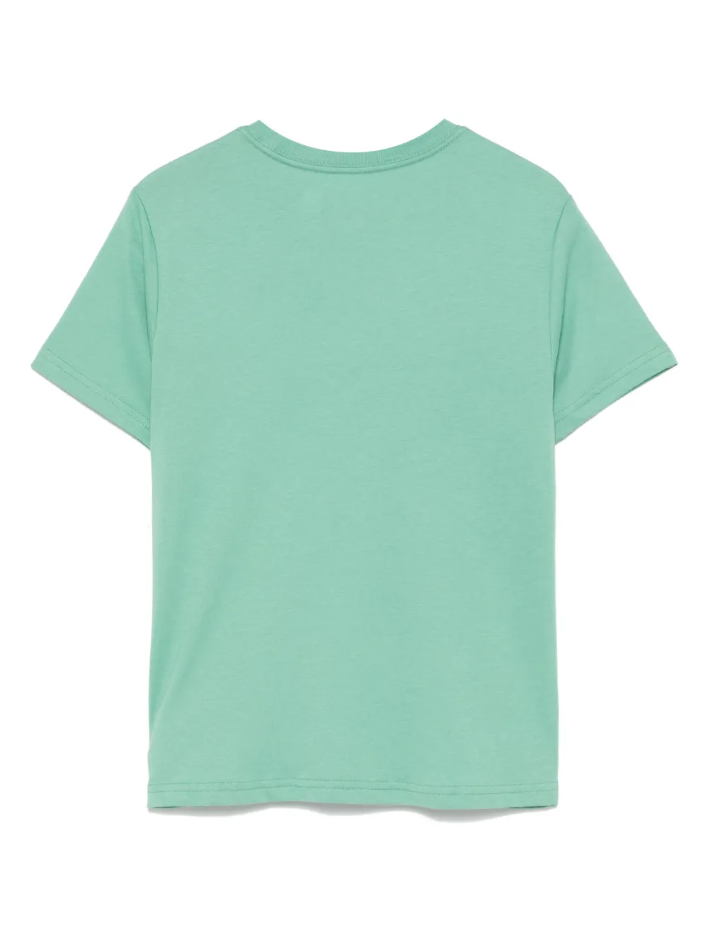 POLO RALPH LAUREN KIDS T-shirt met teddybeerprint Groen