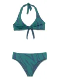 Fisico zebra-print bikini - Green