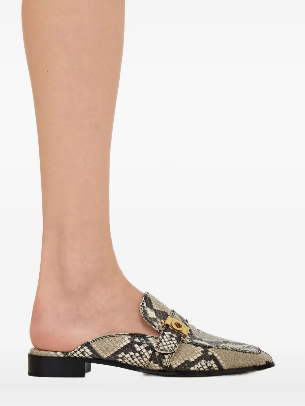 Ferragamo Snakeskin Buckle Mule In Gray