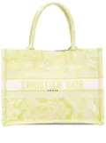 Christian Dior Pre-Owned 2021 Medium Canvas Embroidered Dioriviera Toile De Jouy Book tote bag - Green