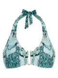 Temperley London Liana bikini top - Blue