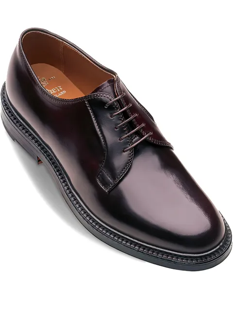 Alden leather derby shoes