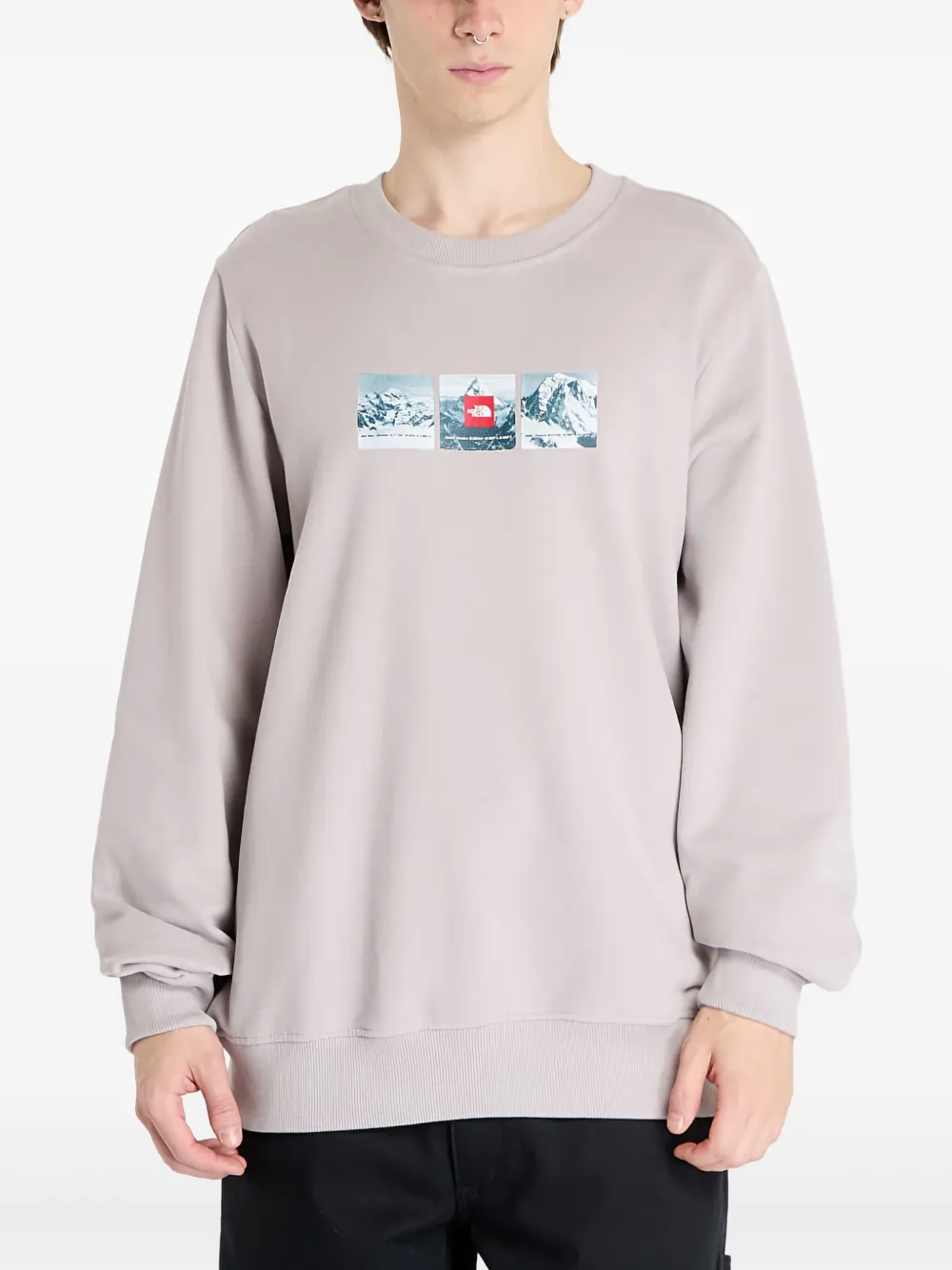 The North Face スウェットシャツ - グレー The North Face スウェットシャツ - グレー