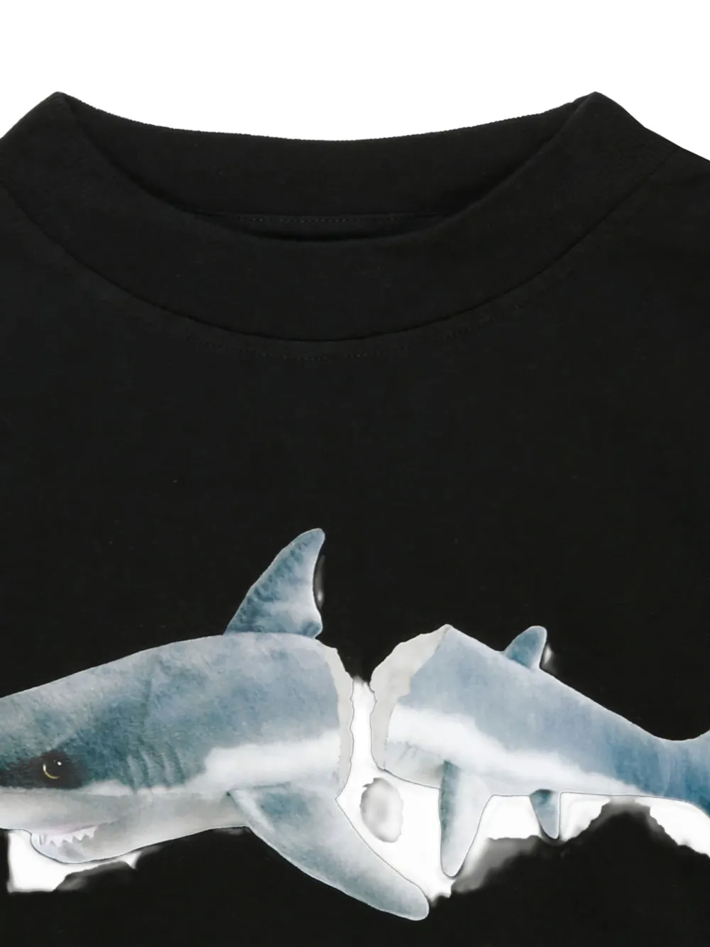 Palm Angels Kids Sweater met haaienprint Zwart